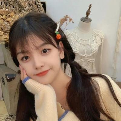 精灵宝可梦:水都的守护神拉帝亚斯与拉帝欧斯